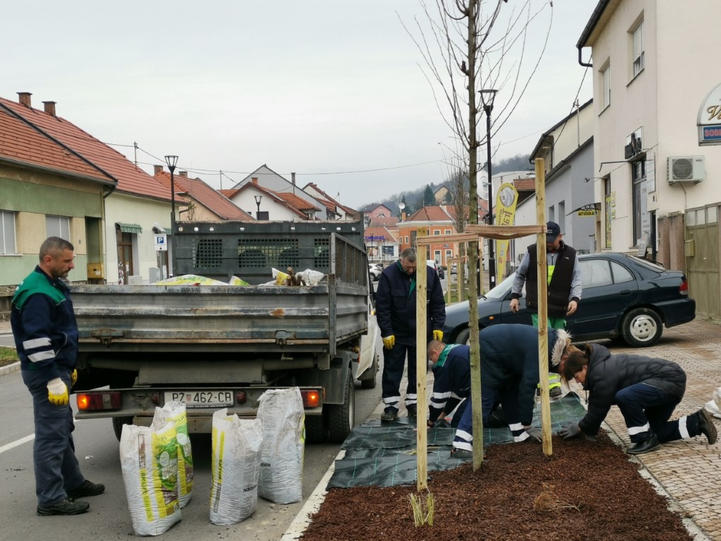 Uređenje zelenih površina u Ulici dr. Franje Tuđmana